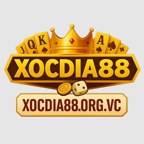 Xocdia Bet