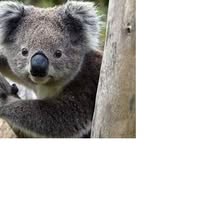 Mònica Juez Martín