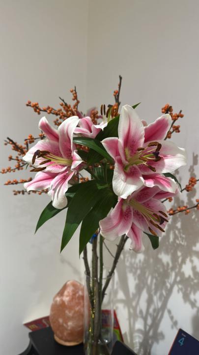 Anelisa Fleury Tremolada