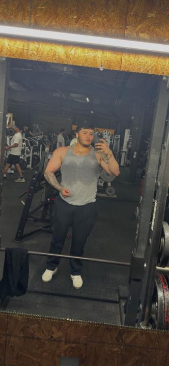 Mario reveles Reveles