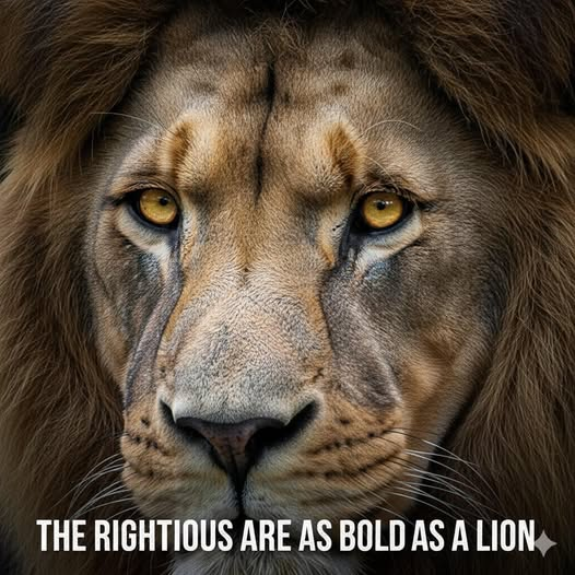 Proverb of the Day 28