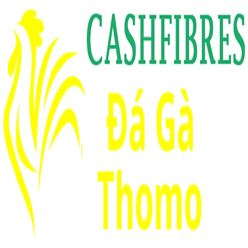 Đá Gà Trực Tiếp Thomo
