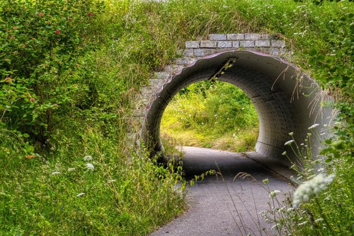 How to Start a Divorce Process