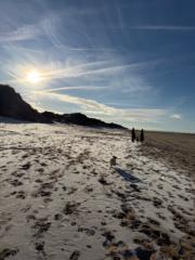 Aidan Simkins-Cowell