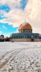 Jihad Al-Sawan