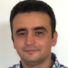 Dragan Ilie