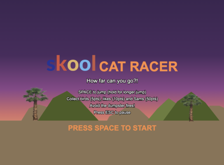 Who has tried the Skool Cat racer?
