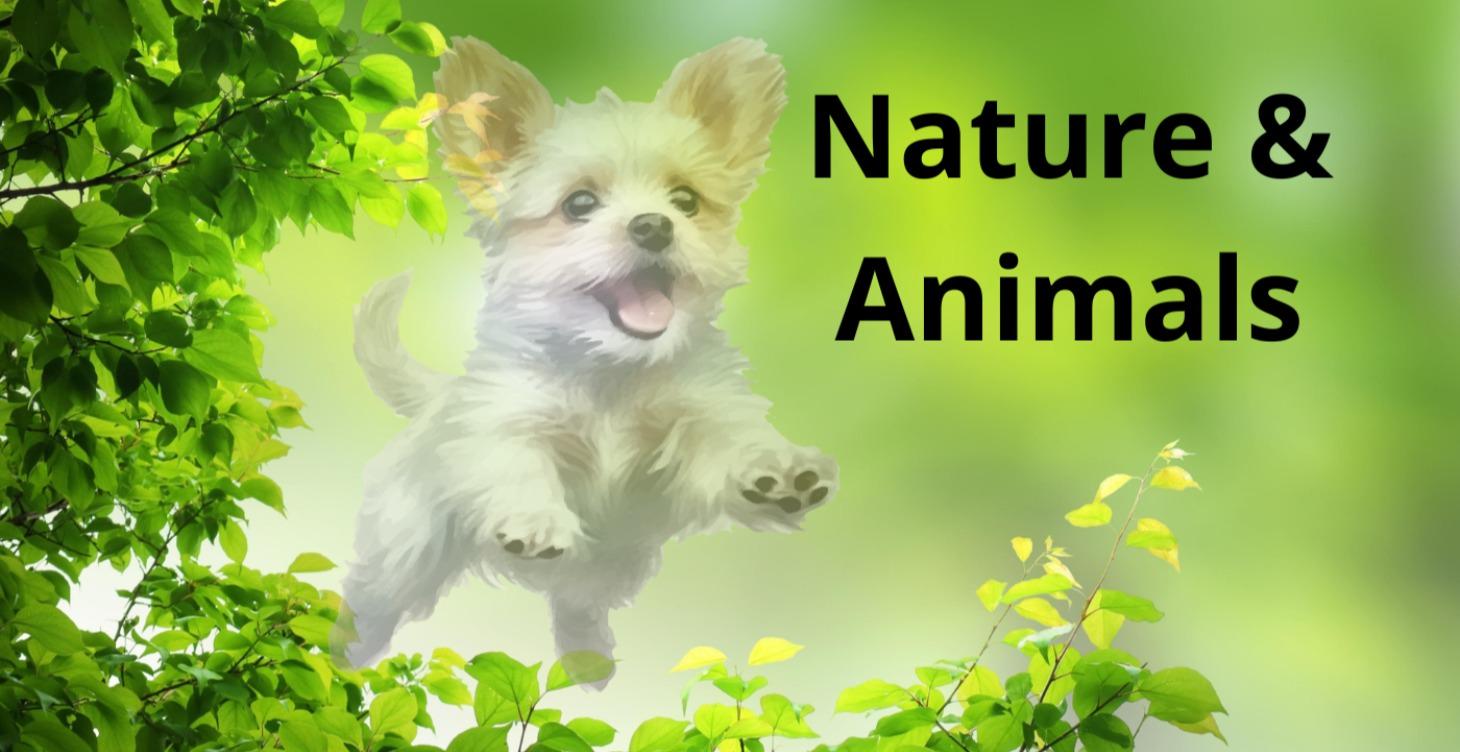 Nature & Animals