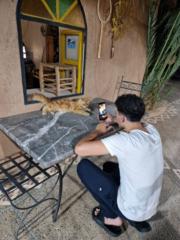 Wasim Chafi