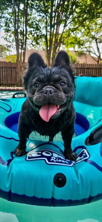 Brittney McCloud Worbington