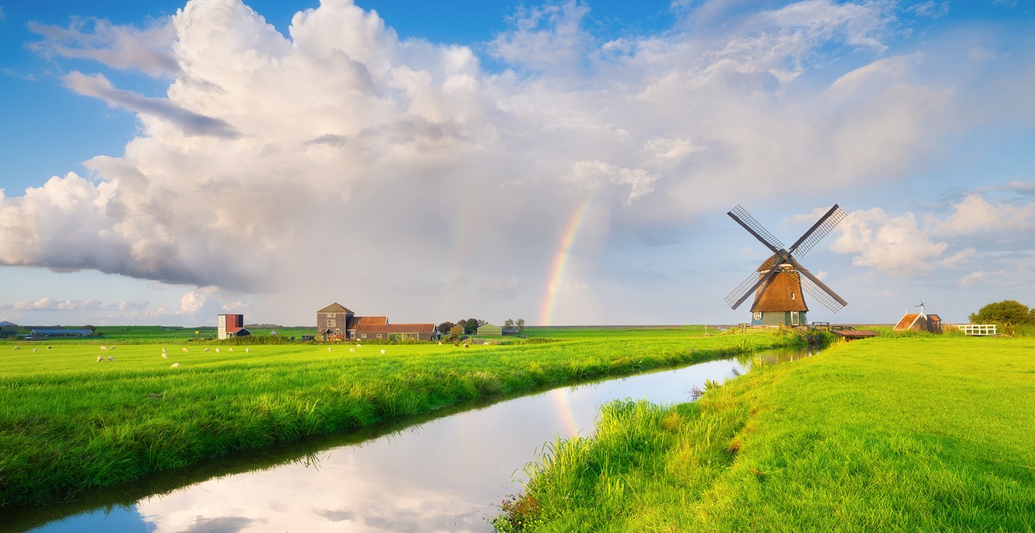 Move to NL [Dreamer]