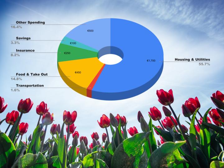 Budgeting in the Netherlands