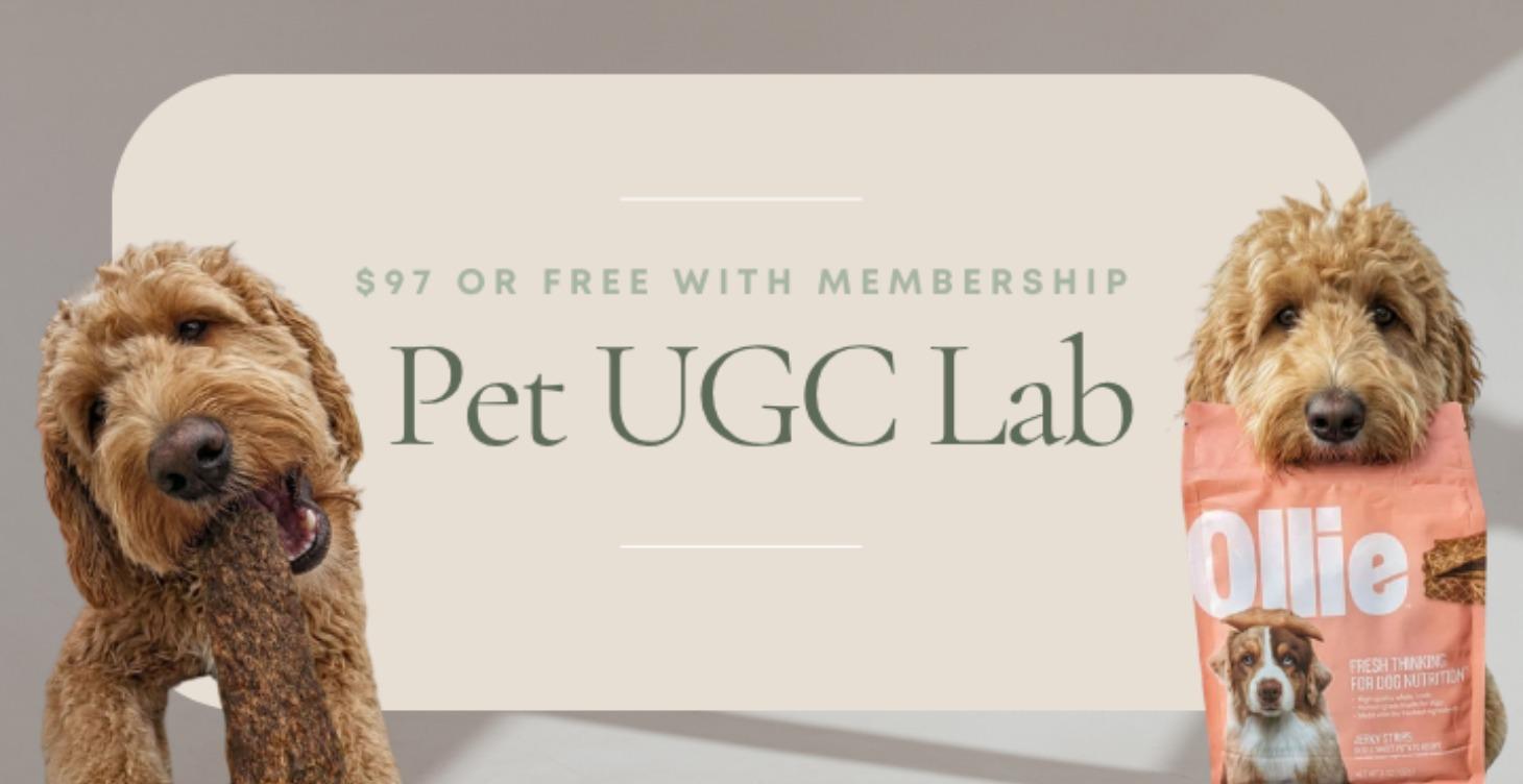 Pet UGC Lab