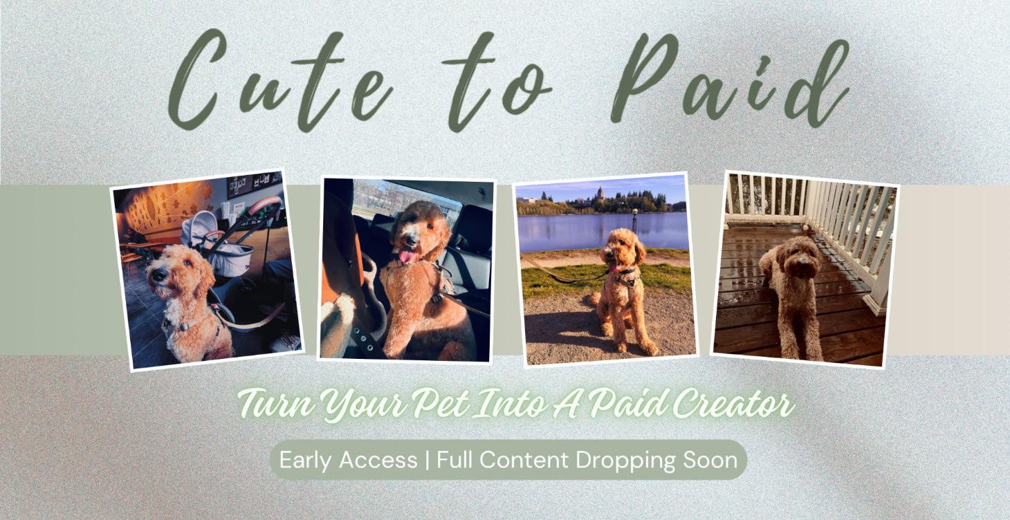 Pet UGC Lab