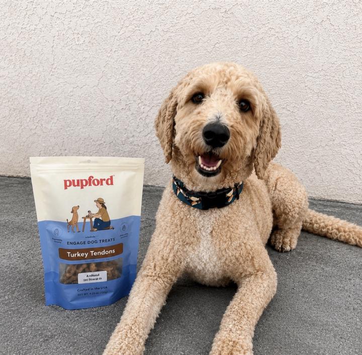 🐾 If you’re brand new to pet UGC, this one’s for you.