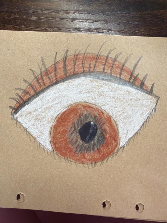Eyes in color pencil 