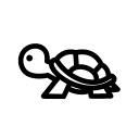 Team Tortue