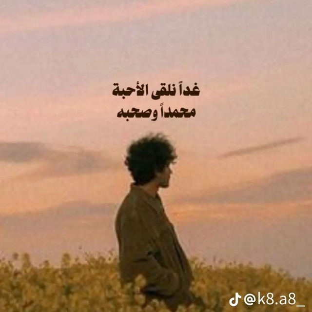 Saif Halima
