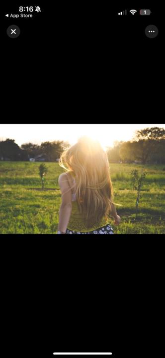 Tess Wheatley