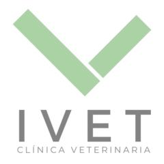 Carlos Iglesias Pedemonte