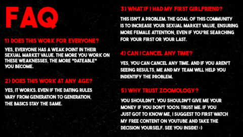 Zoomology gallery image