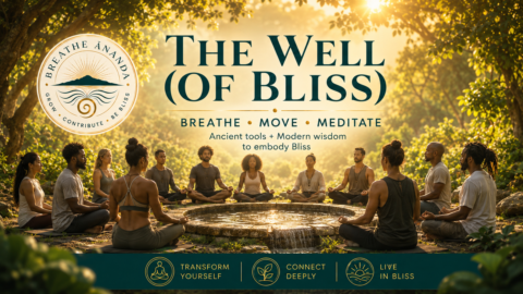 The Well (of Bliss) gallery image