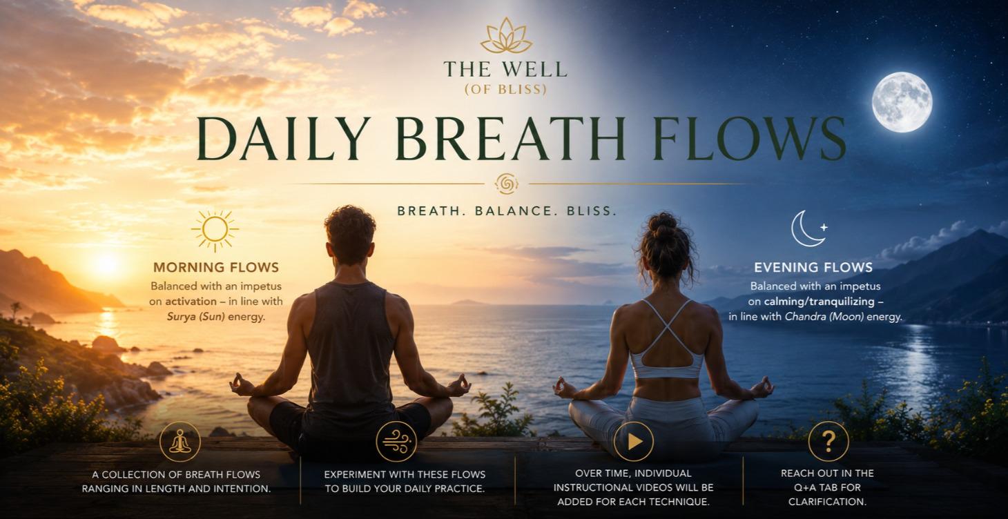 🌬️Daily Breath Flows