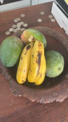 Minacalo Gerocori