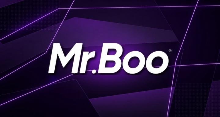 Mr Boo Business School 