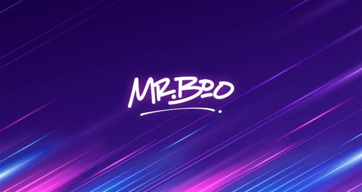 Mr Boo Consulting