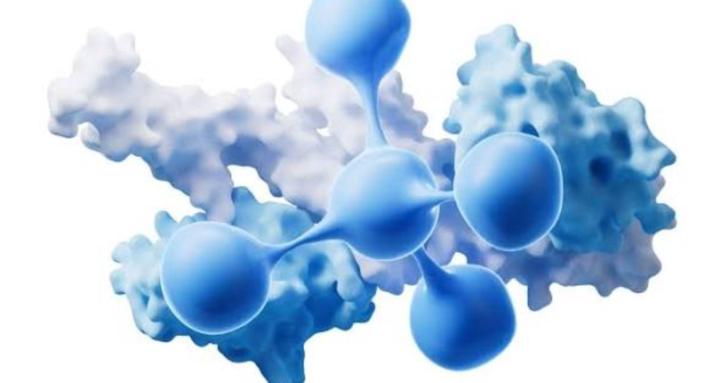 Peptides For Beginners