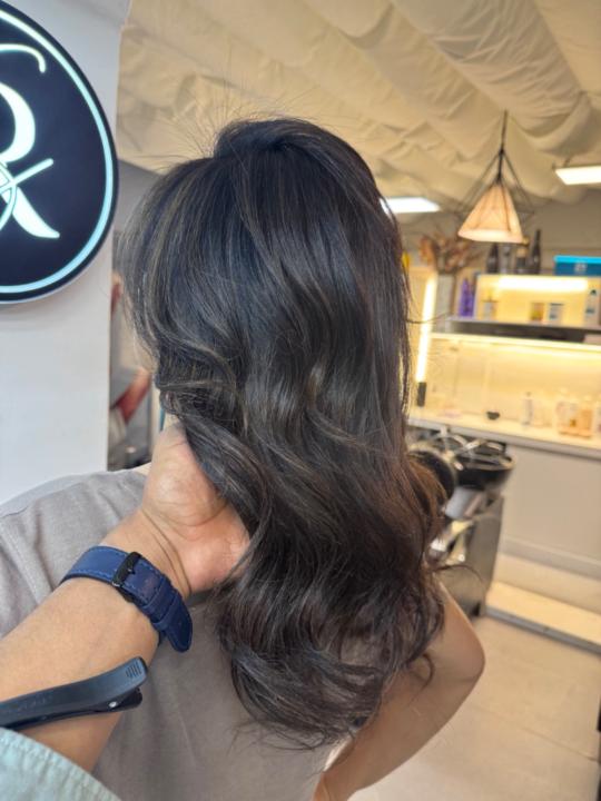 Carlos javier Bermello