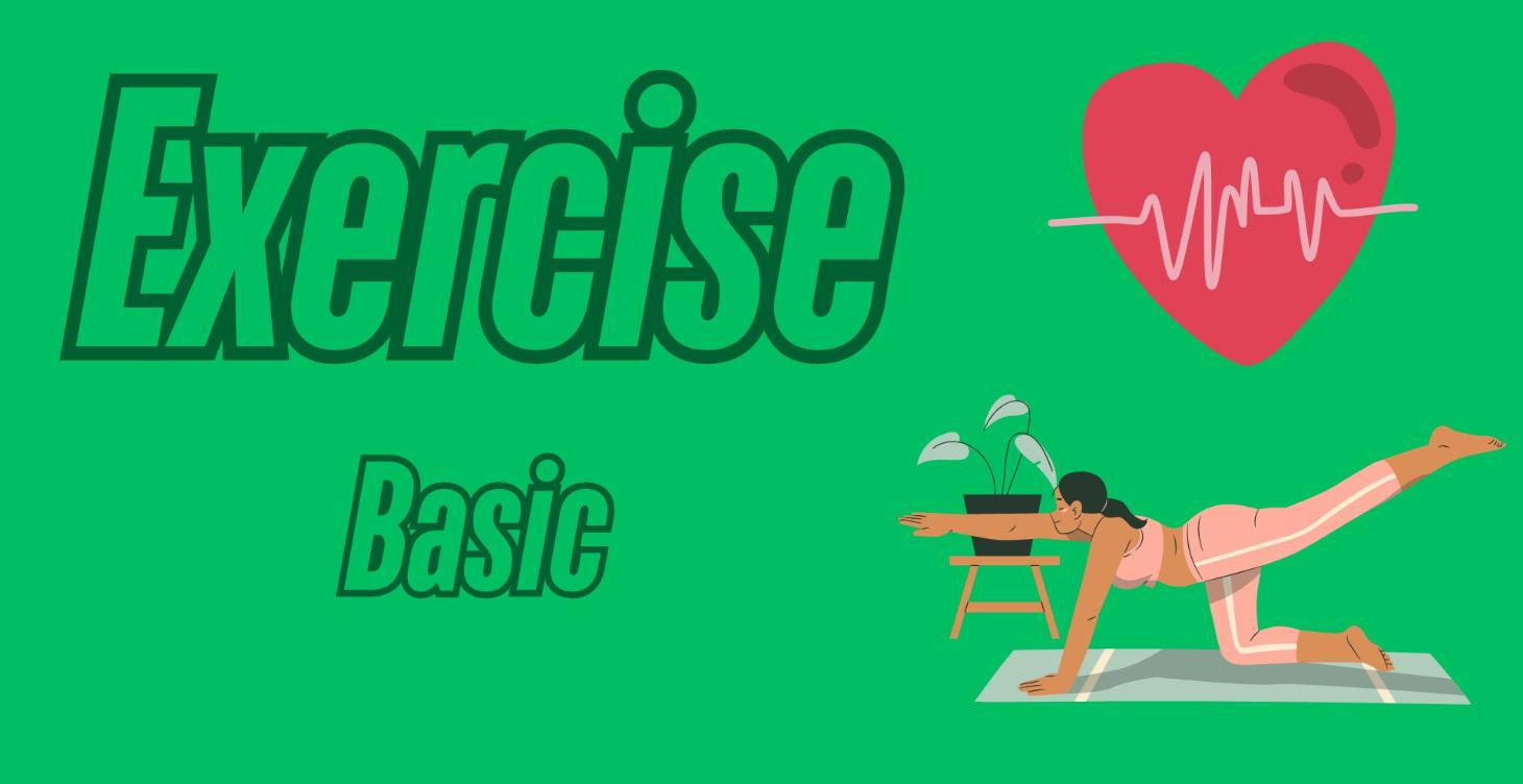 Exercise - Basic