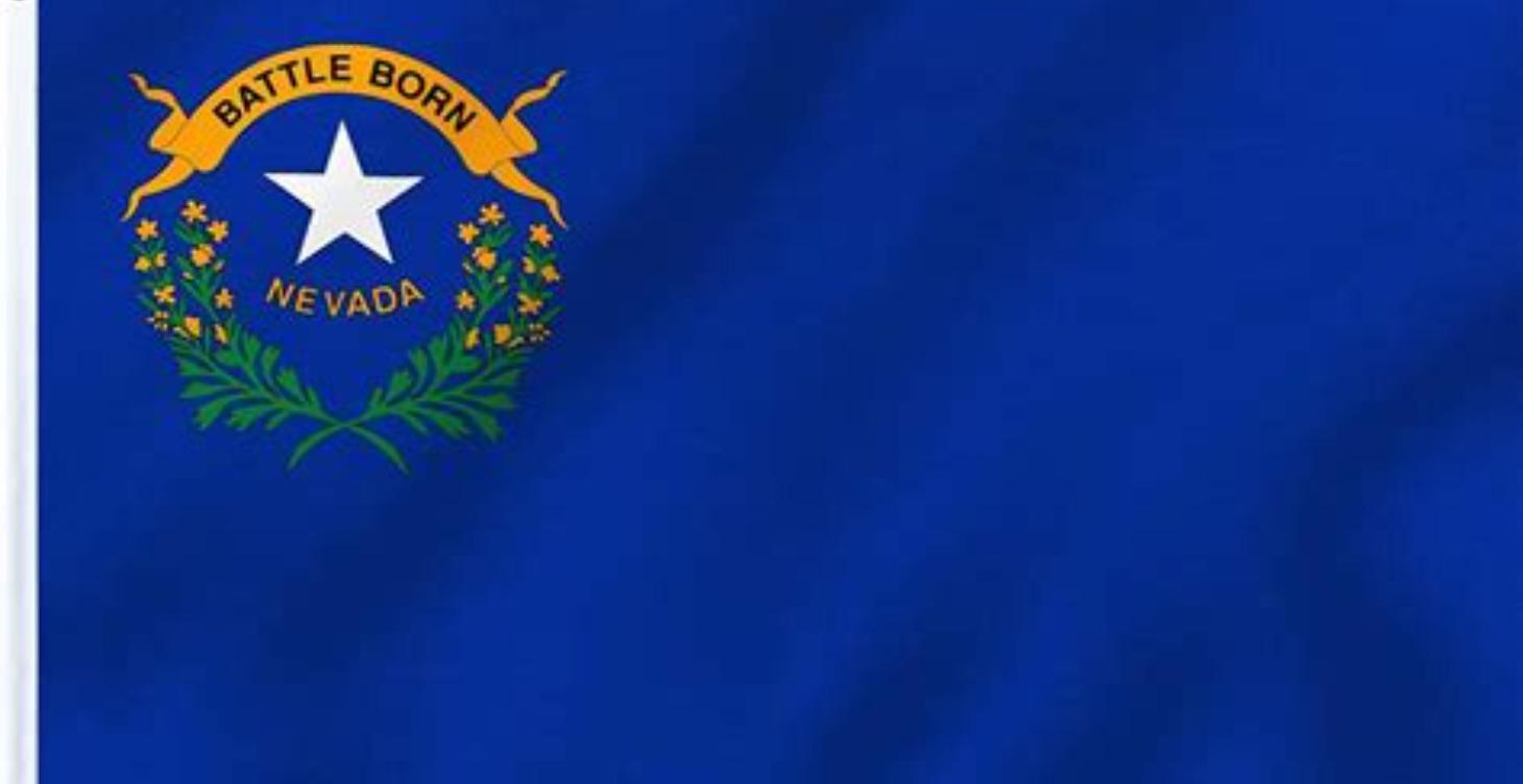 Nevada Blueprint