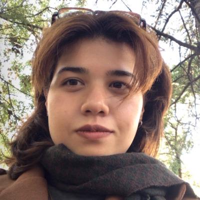 Didem Ilgın Köse