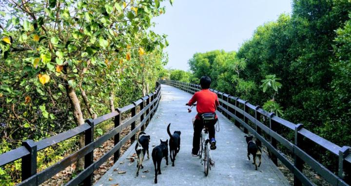犬隻領導力覺醒社群