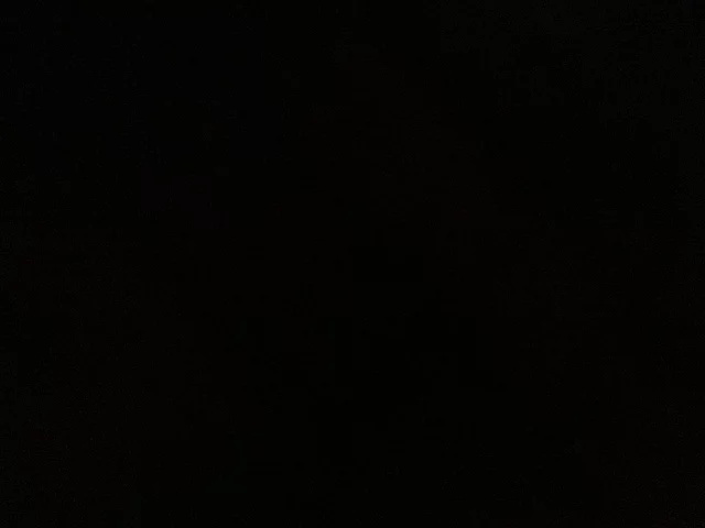 Lamar Ingram
