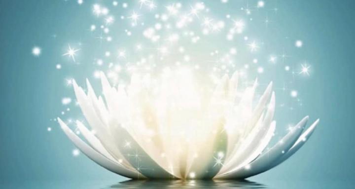 WUNDERvolles Leben ✨