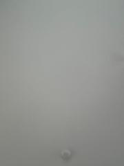 Anja Hammerseng-Edin