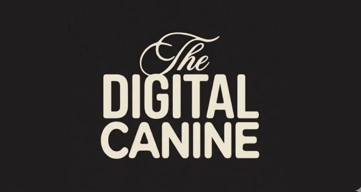 TDC - Internal Team