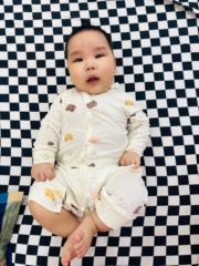 Trinh Hoa