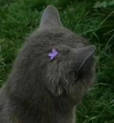 Ariunbold Enkhchimeg