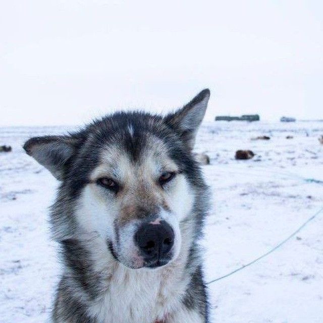 Артем WtFmAsYa