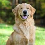 Mónica Yuriko Ortega Azano