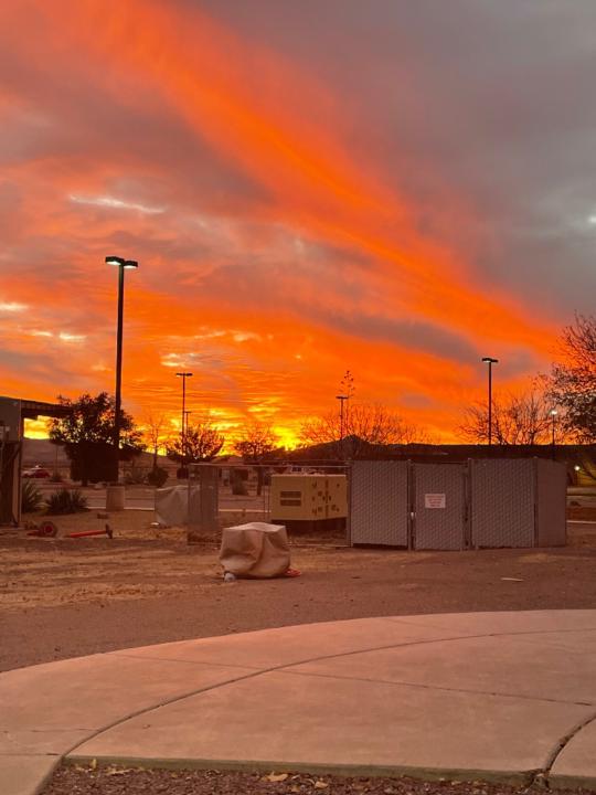 Alisaundria Hardwell