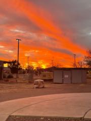 Alisaundria Hardwell