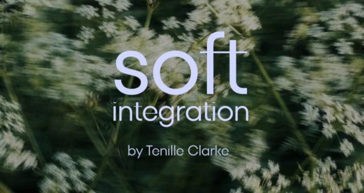 Soft Integration