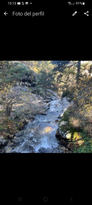 Estibaliz Arrate some