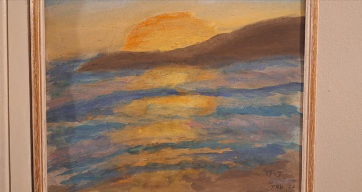 Cats, Books and mayhem