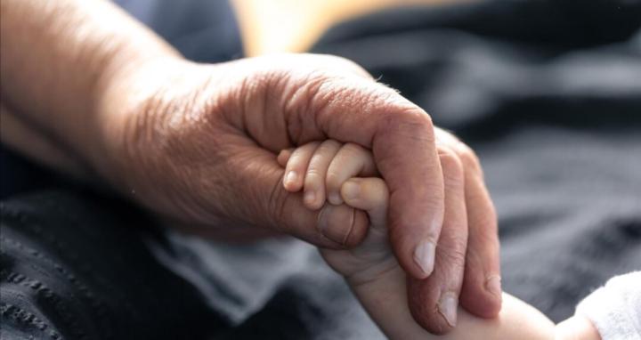 Cats, Books and Mayhem 